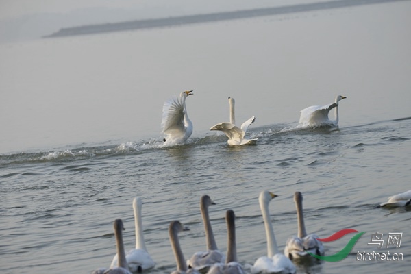 _E8J0233.jpg