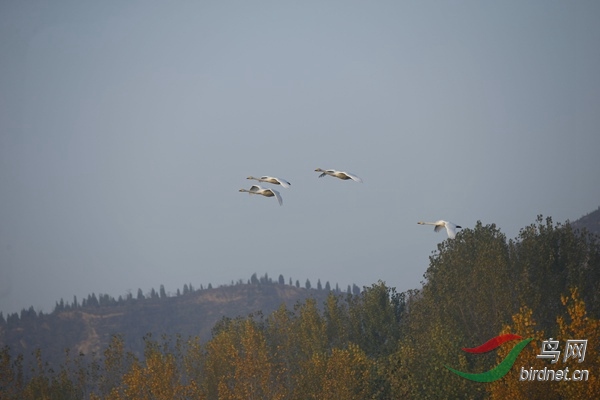 _E8J0253.jpg