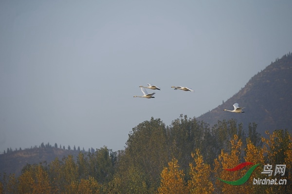 _E8J0250.jpg