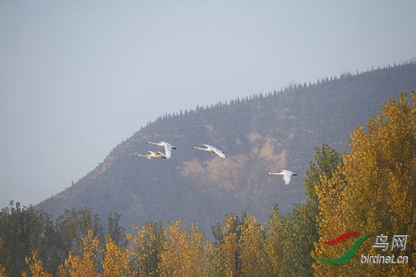 _E8J0248.jpg