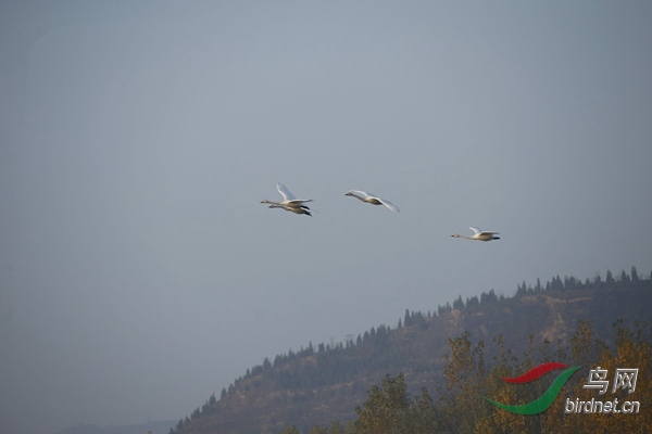 _E8J0259.jpg