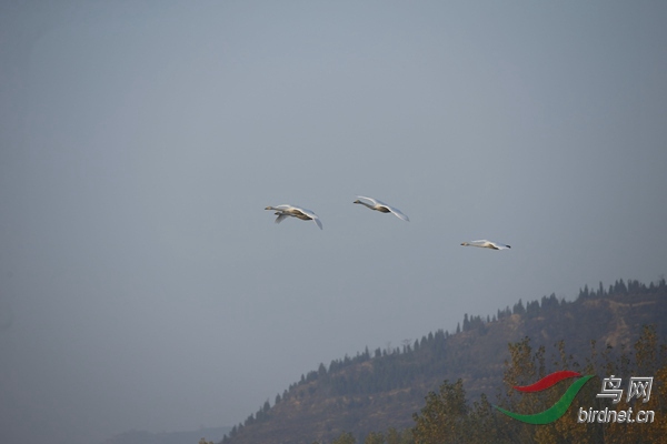 _E8J0260.jpg