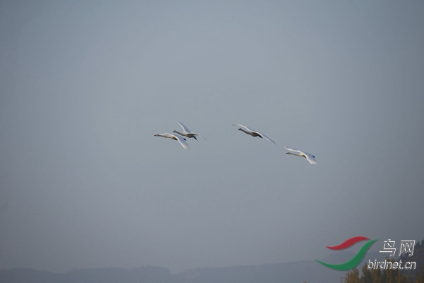 _E8J0267.jpg