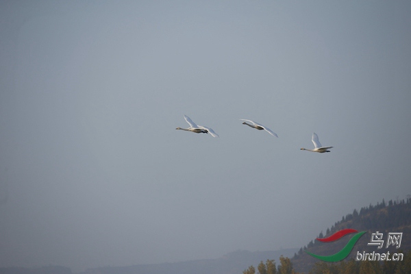 _E8J0265.jpg
