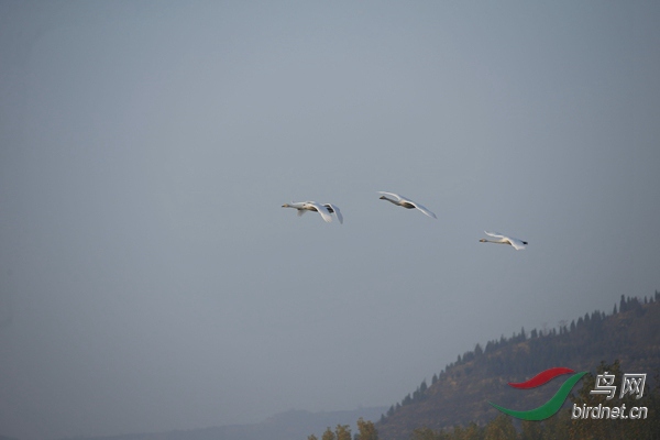 _E8J0263.jpg