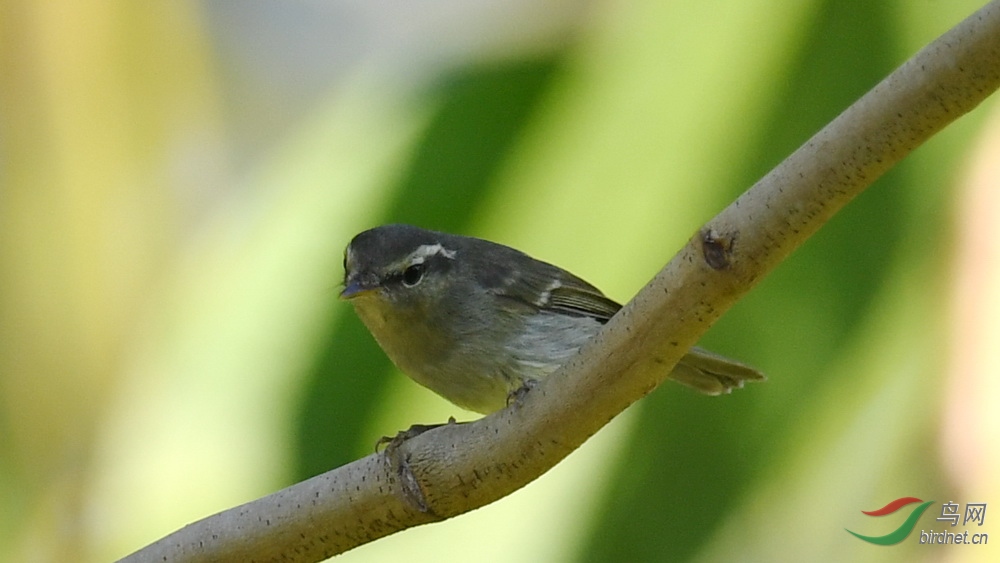 DSC_0591.JPG