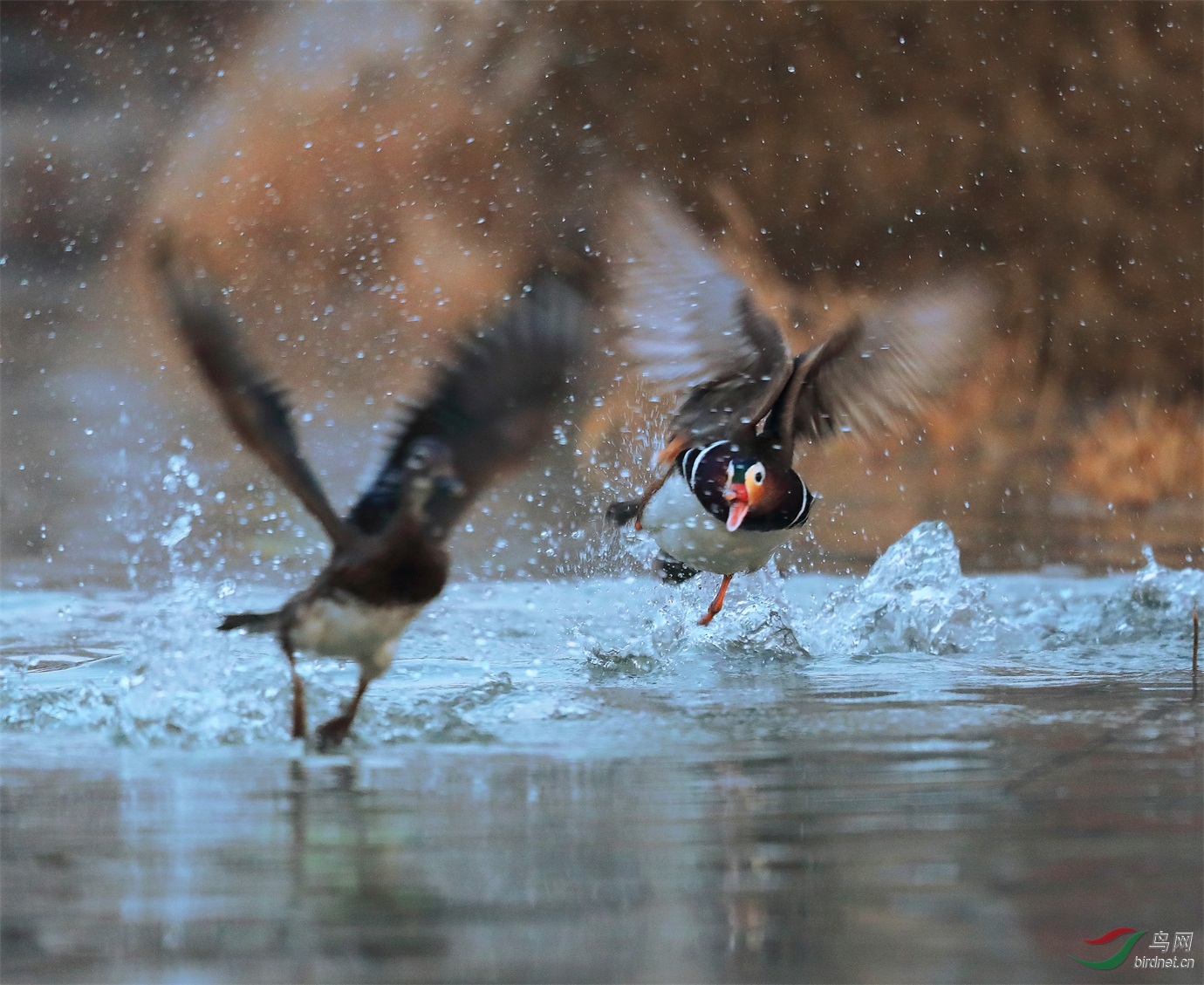 1 - ����.JPG