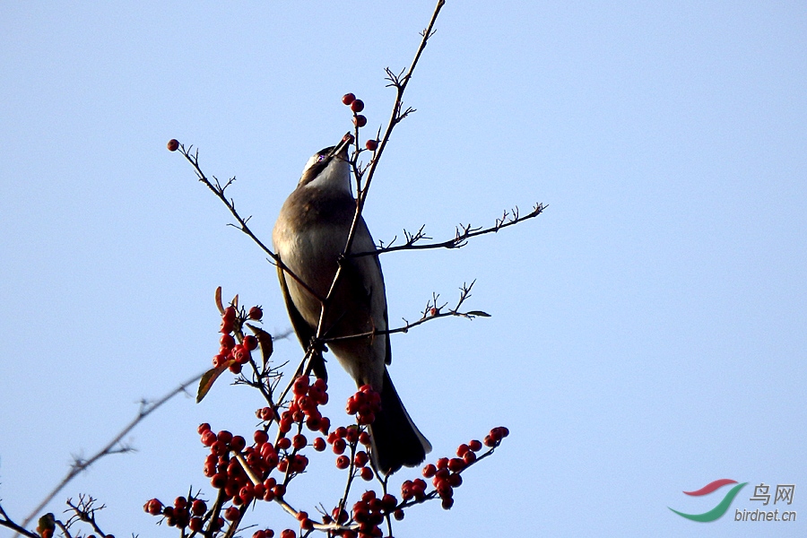 PC221083.jpg