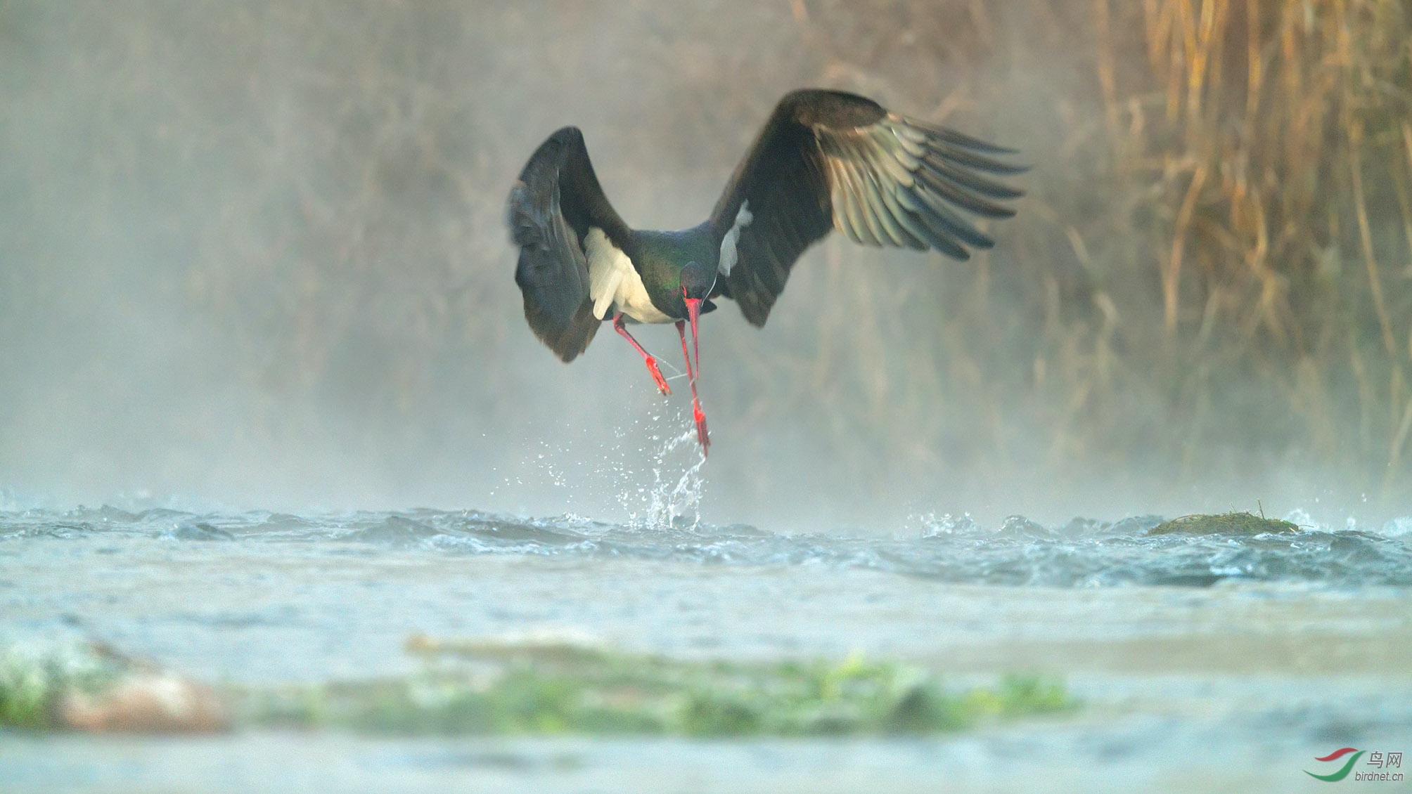 DSC_2955_��ˮ֮��1 �ϴ�.jpg