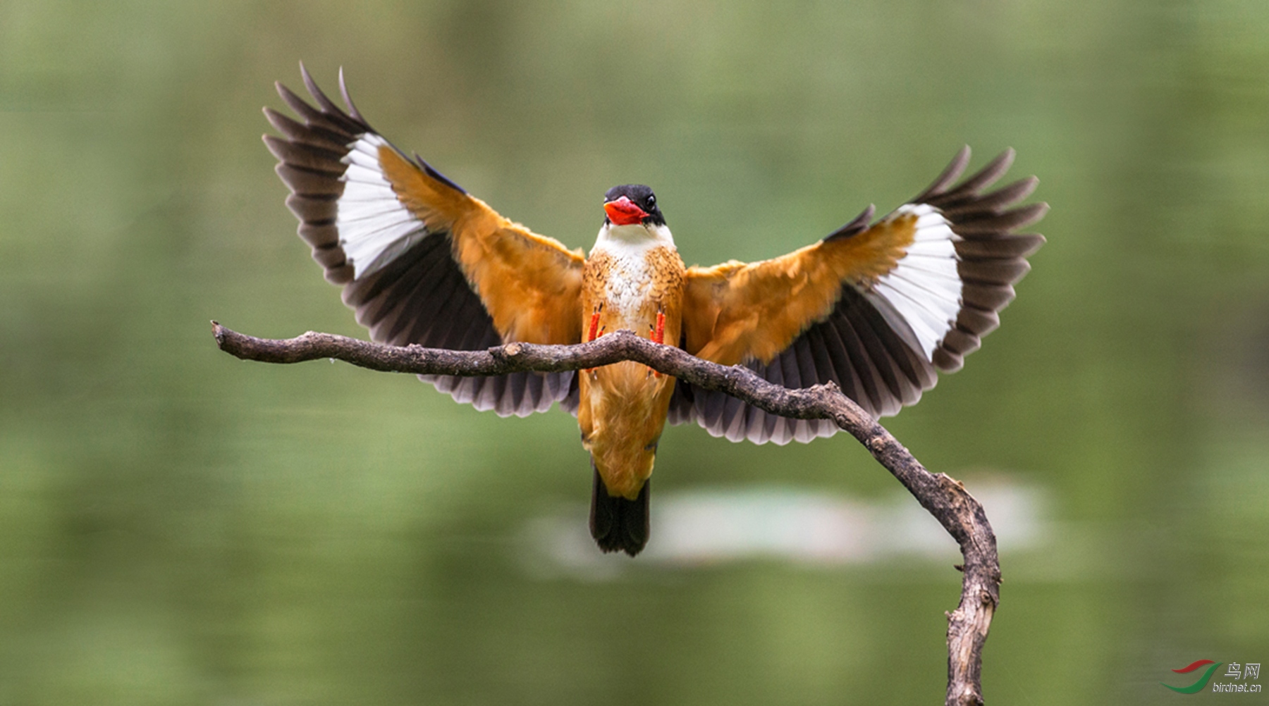 BW4Q9165 - ���� - ����_���� - ����.jpg