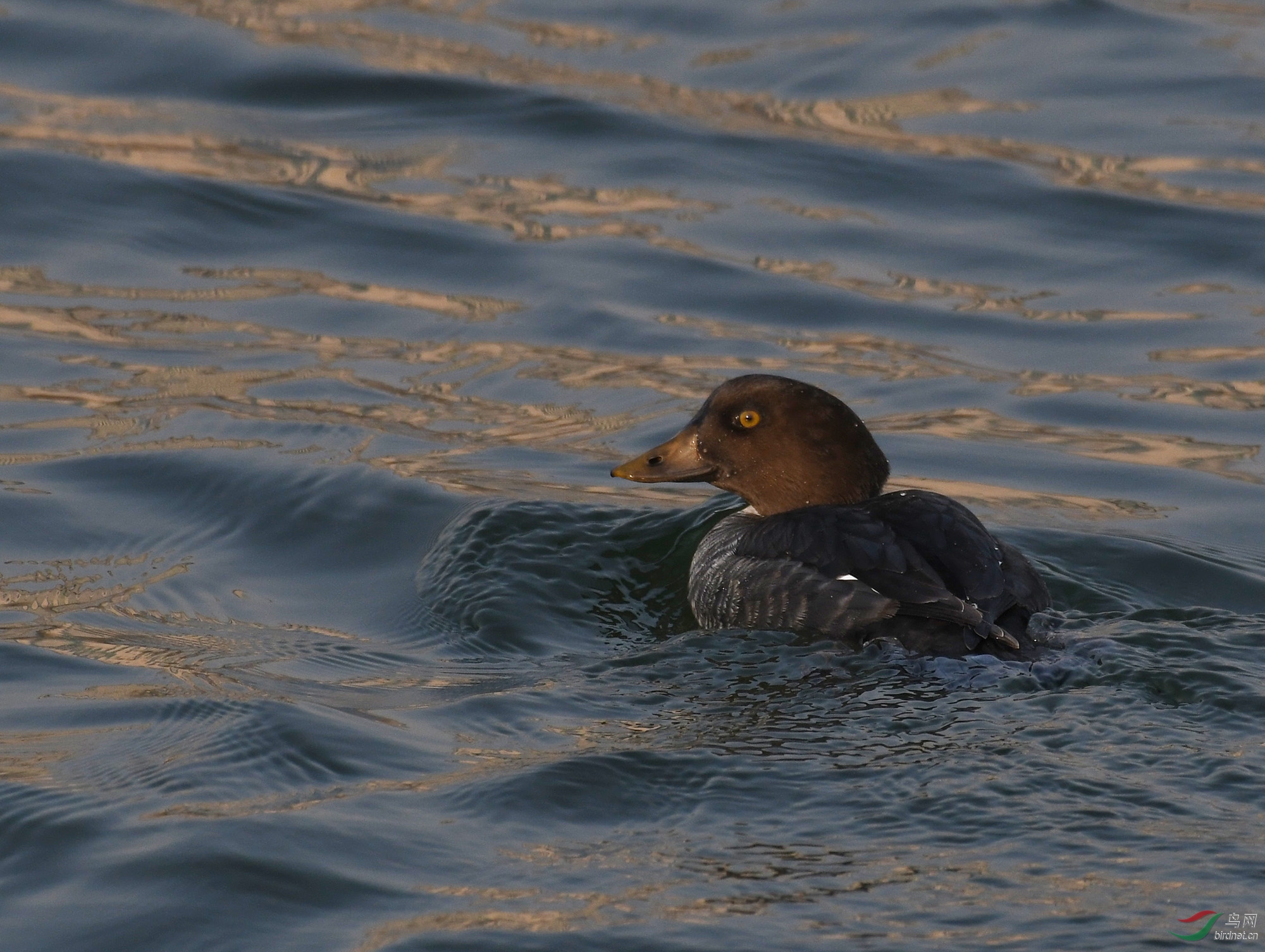 ������Ӱ 476����.jpg