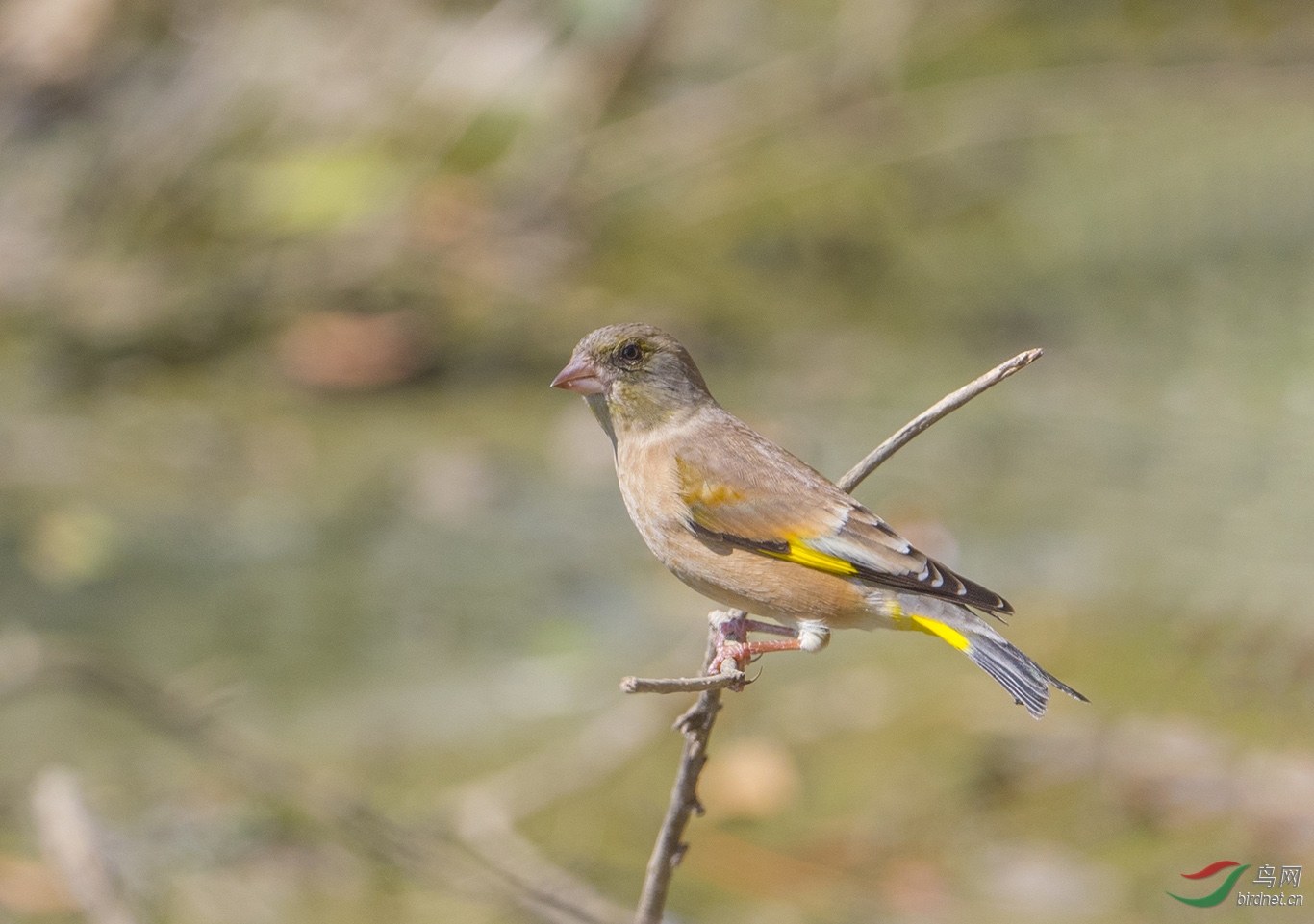 DSC_6969.jpg