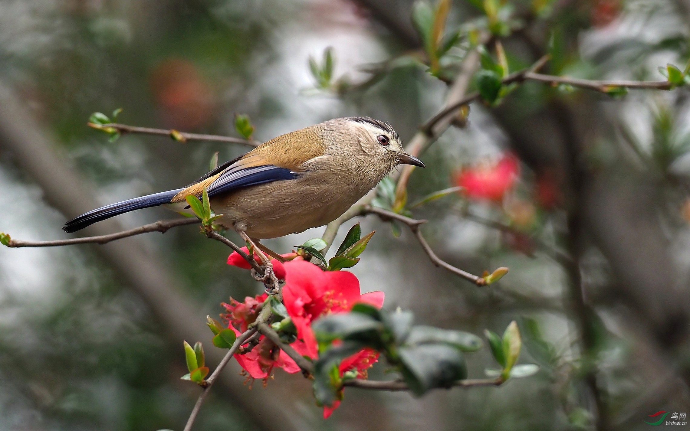 P2153596_����_DxO (����).jpg