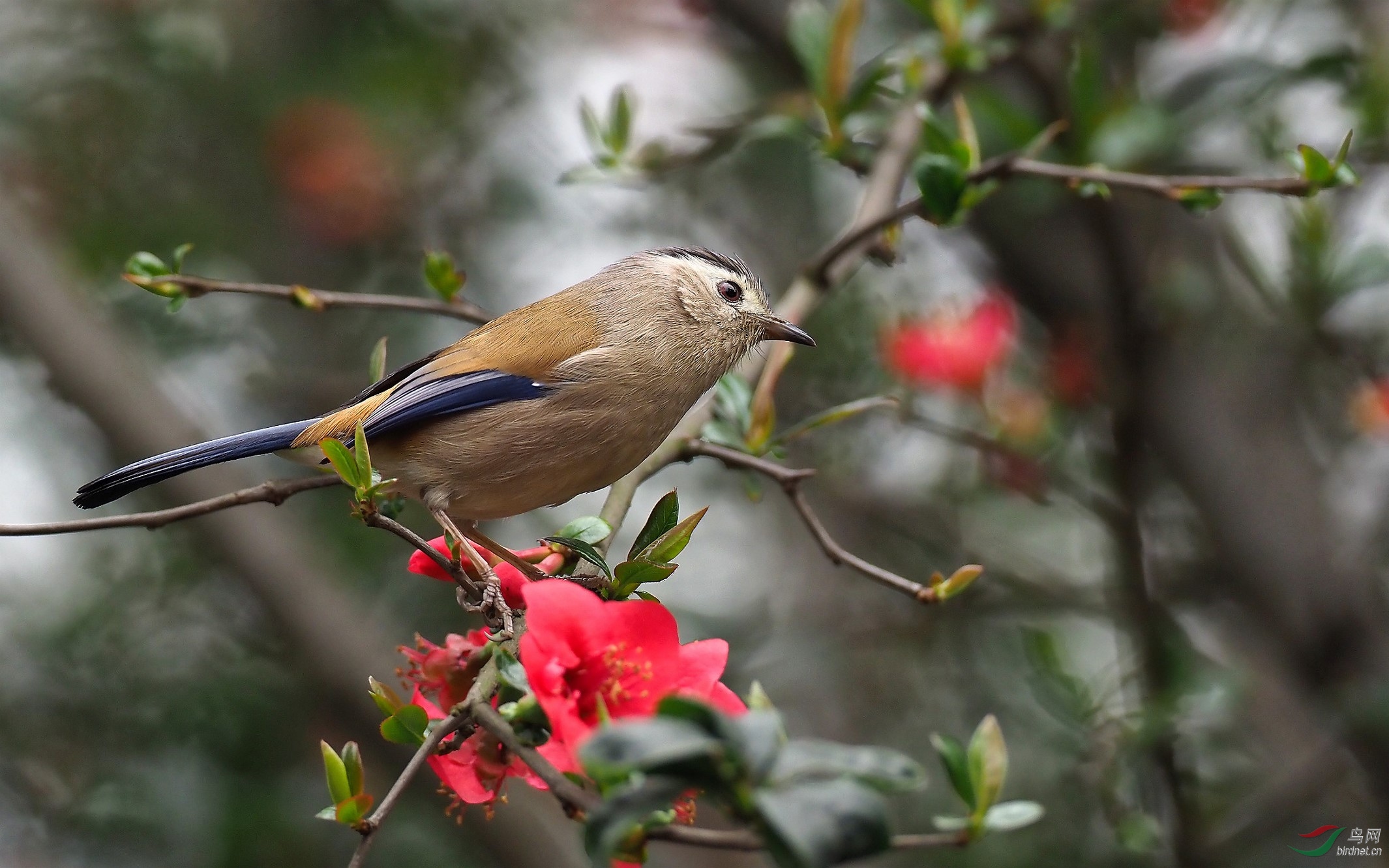 P2153609_����_DxO (����).jpg