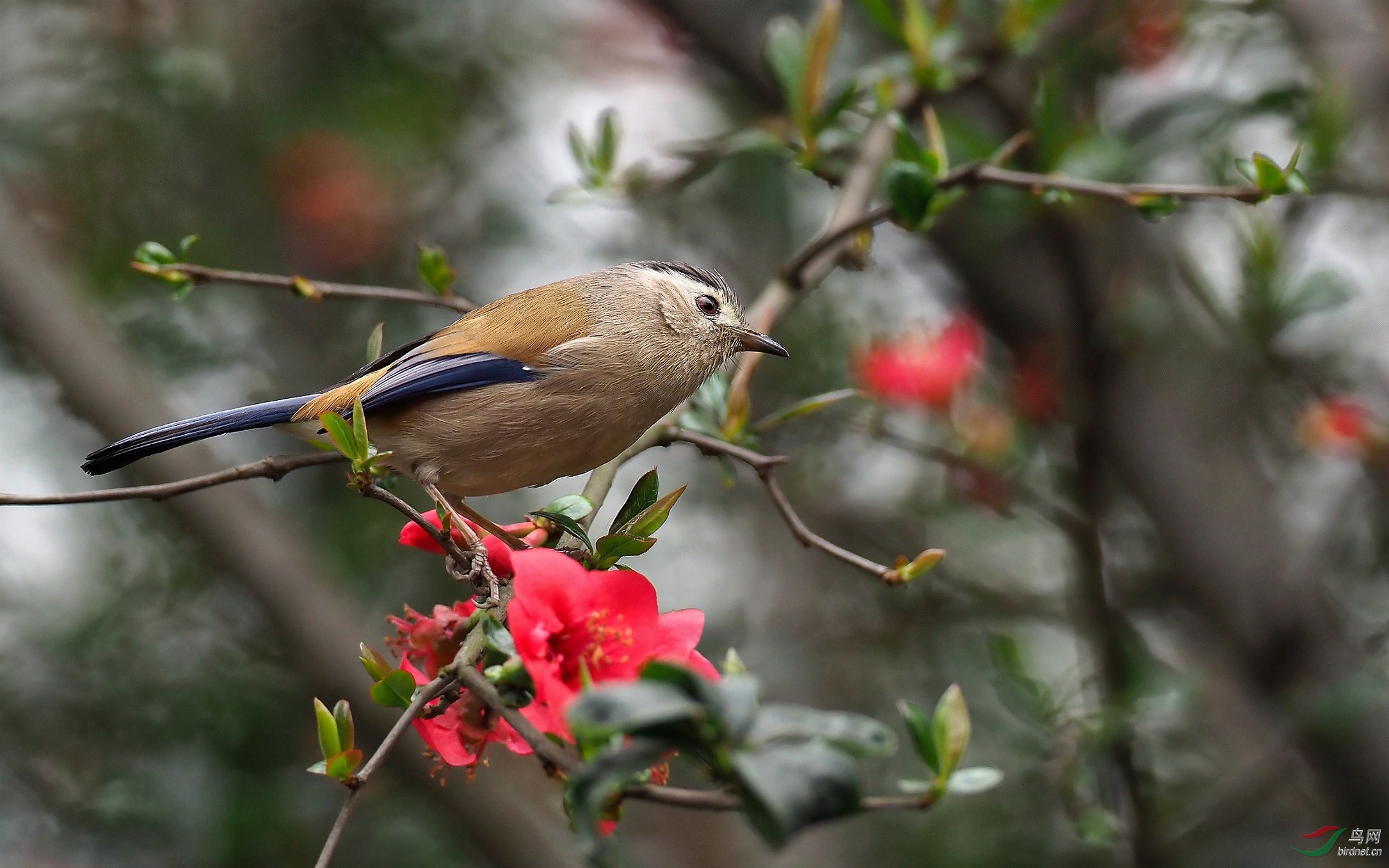 P2153600_����_DxO (����).jpg