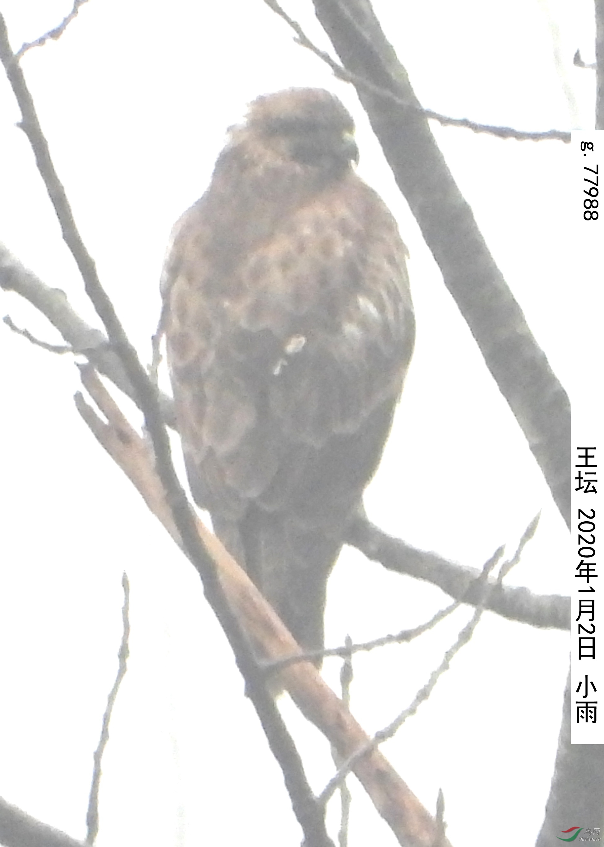 g.77988aa w_����.jpg