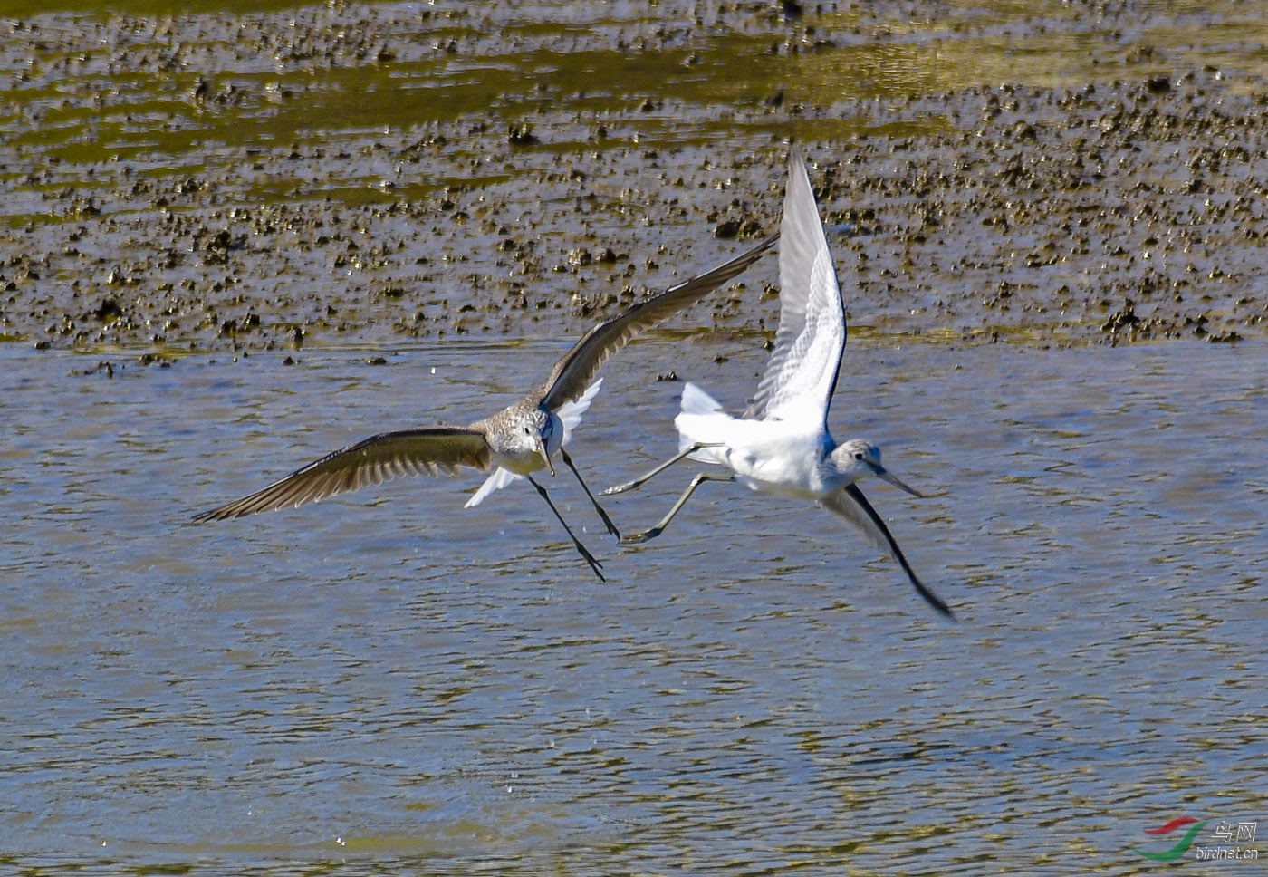 DSC_4613.jpg