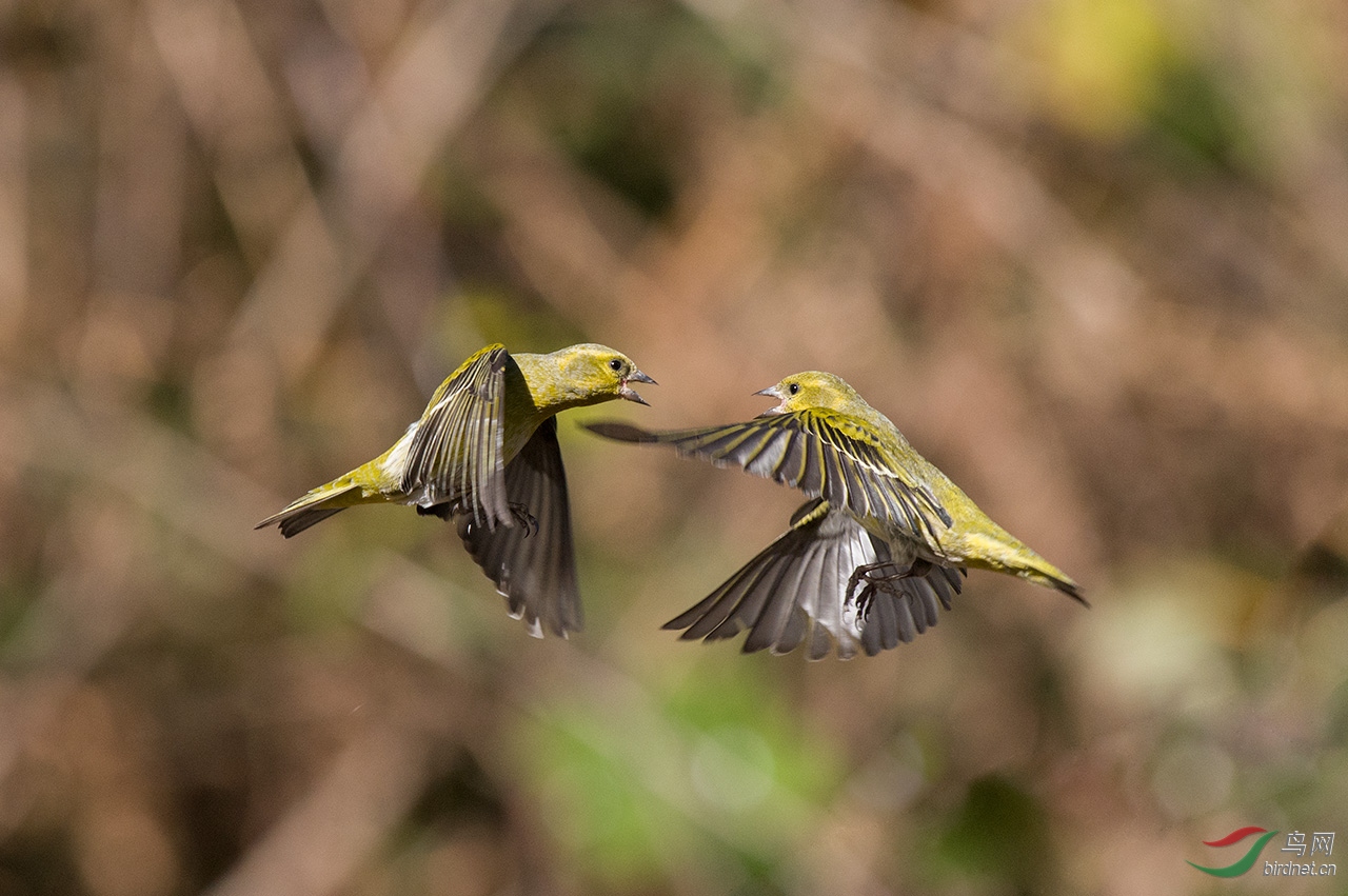 DSC_8053.jpg