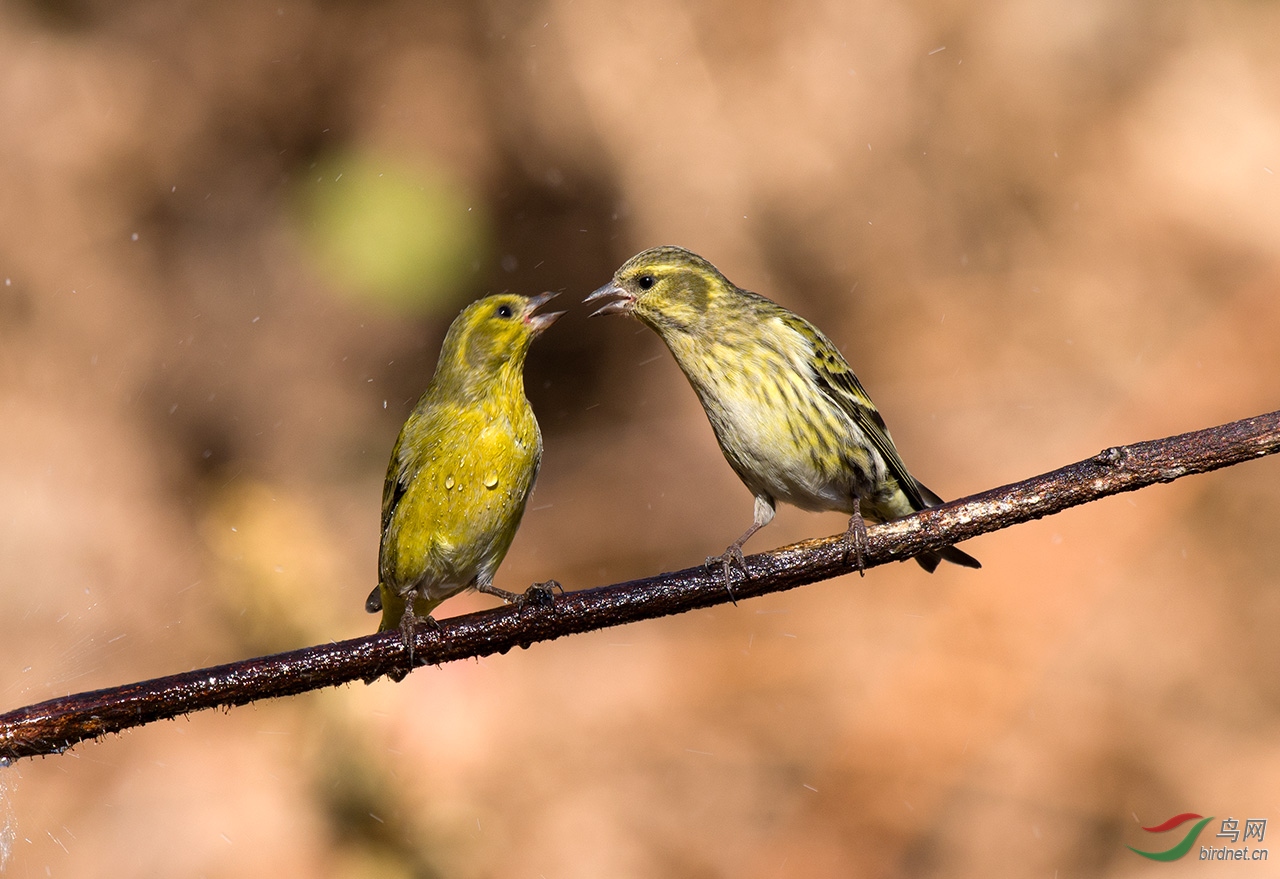 DSC_7966.jpg