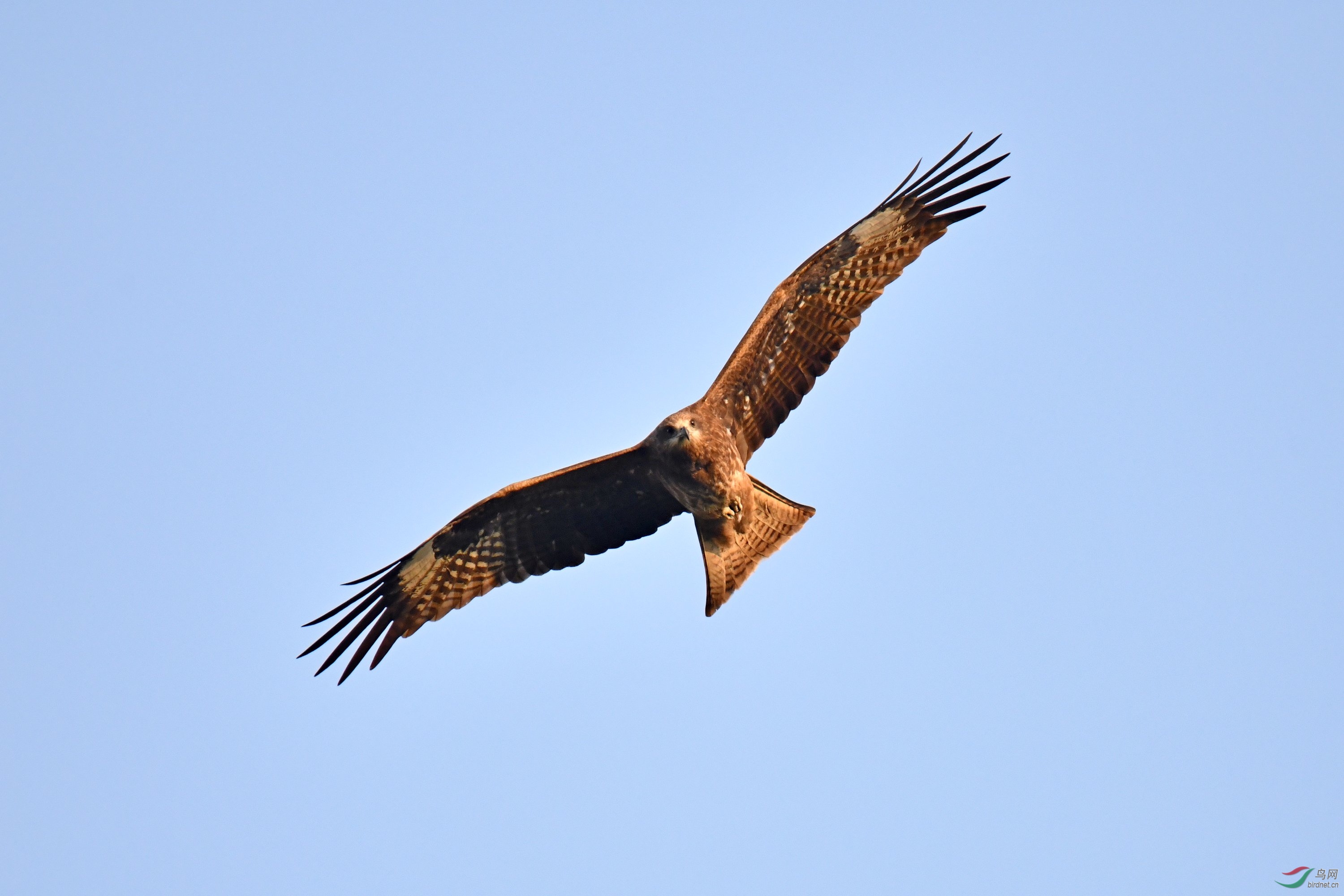 2019-12-28-ɽ������-729 Сͼ.jpg