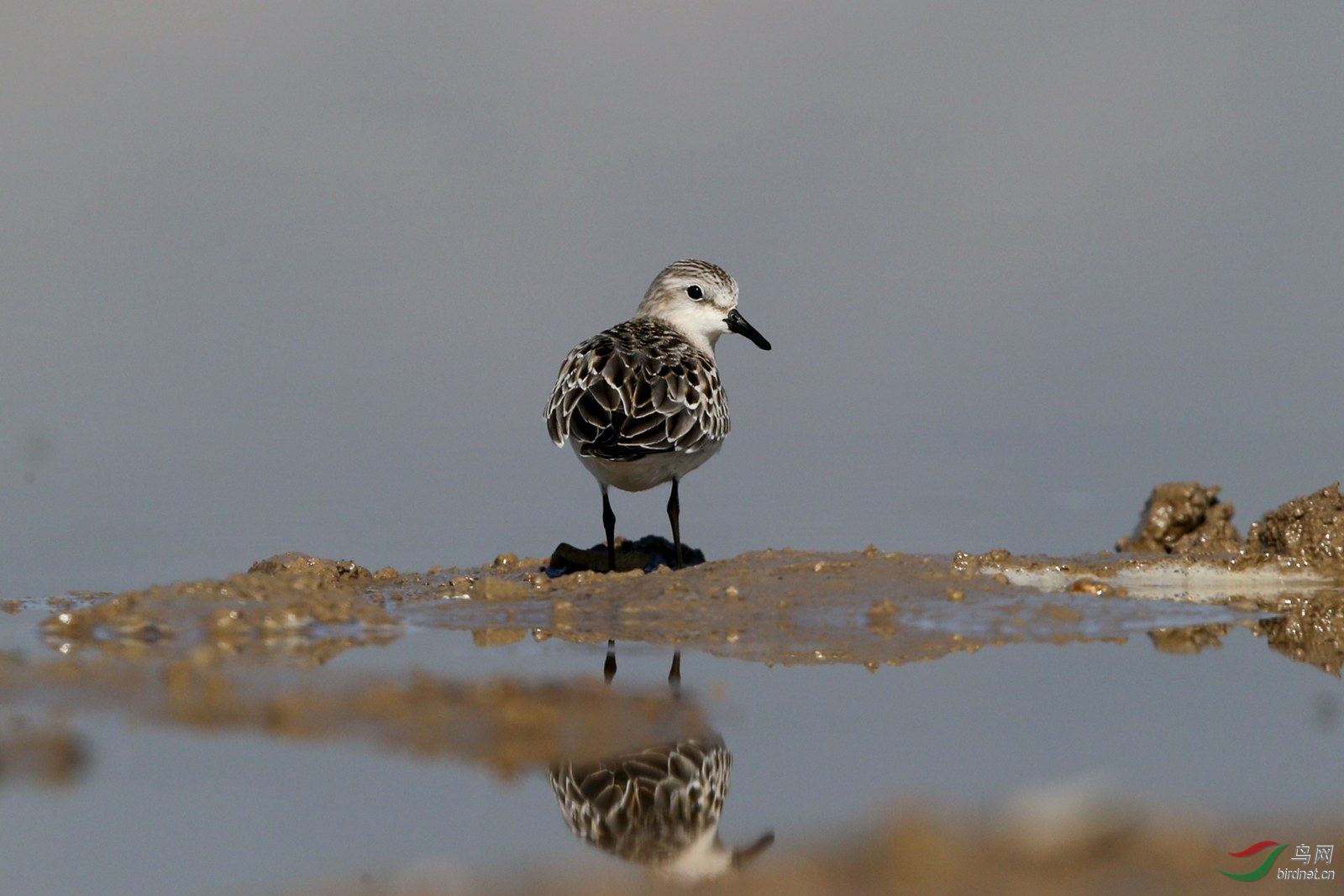 DJ4W0344�쾱����.jpg