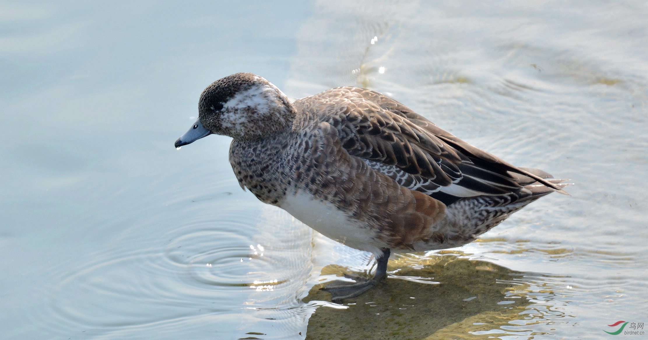 DSC_2356.jpg