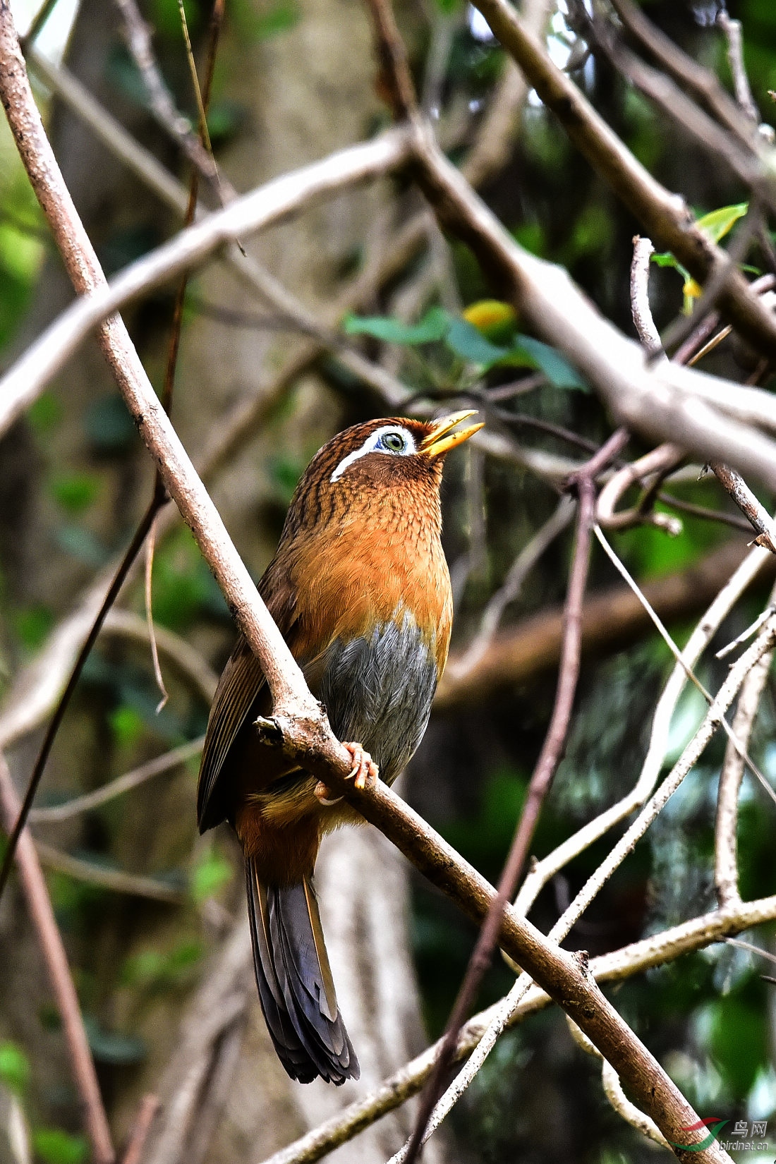 DSC_0775.JPG