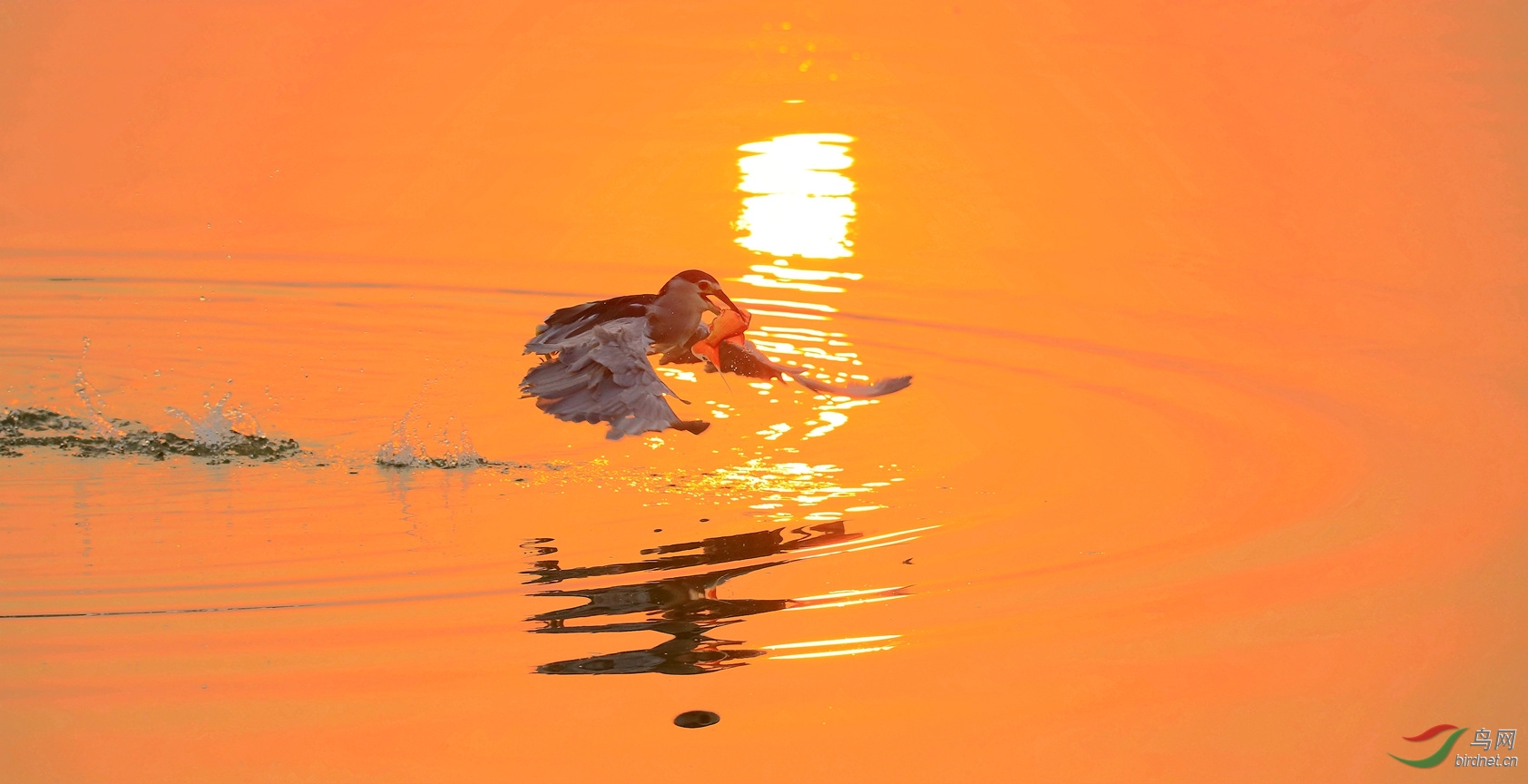 B30K7166_���� (2).jpg