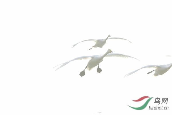 _E8J0830.jpg