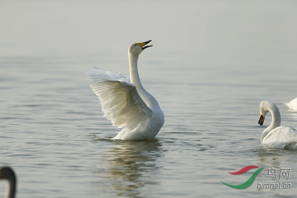 _E8J0855.jpg