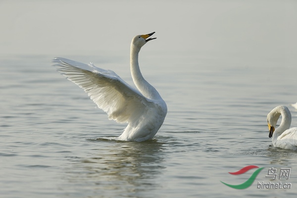_E8J0863.jpg