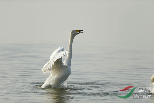 _E8J0869.jpg