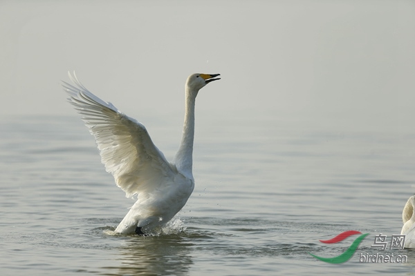 _E8J0868.jpg