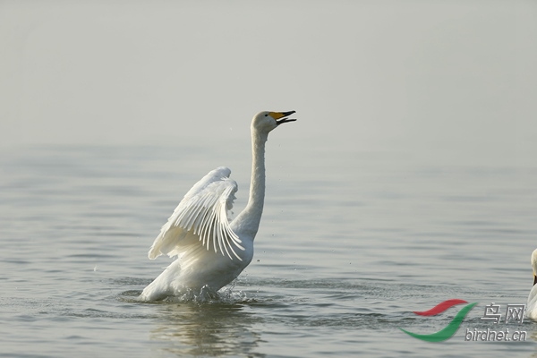 _E8J0870.jpg