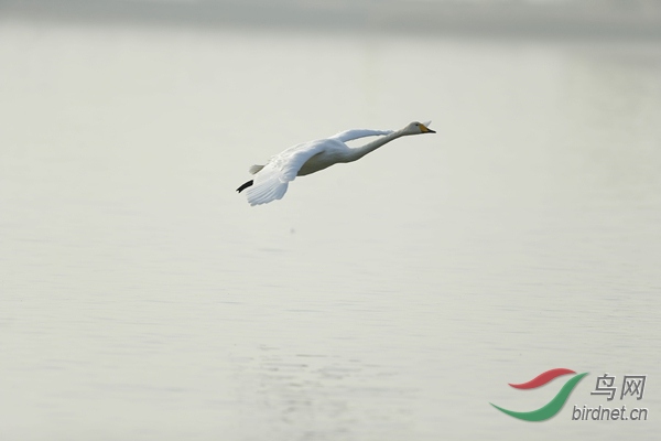 _E8J0890.jpg