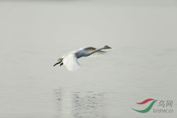 _E8J0893.jpg