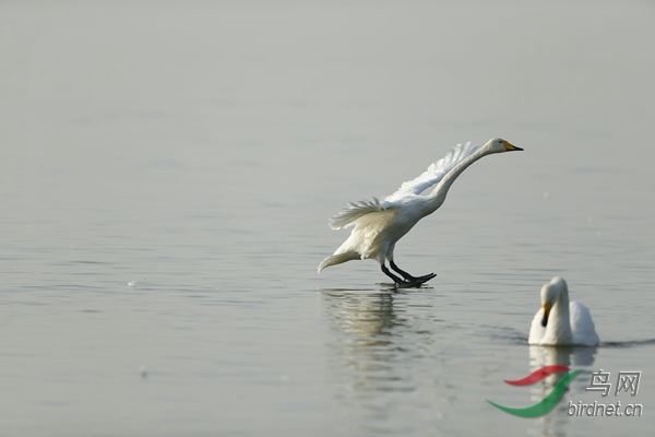 _E8J0900.jpg