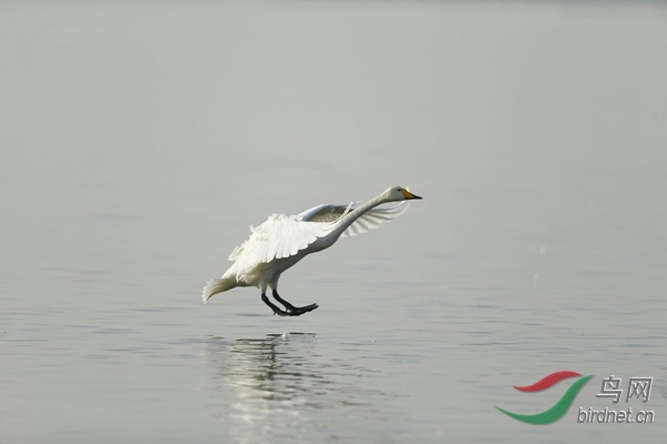 _E8J0898.jpg