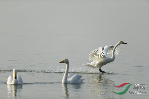 _E8J0904.jpg