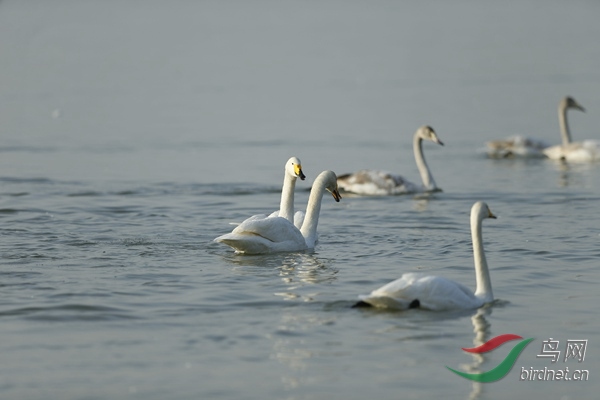 _E8J0921.jpg
