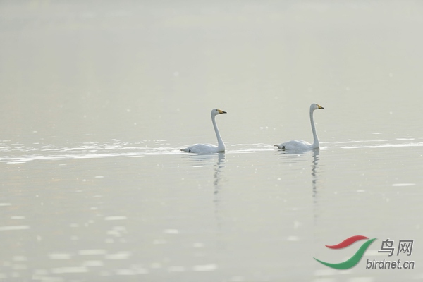 _E8J0940.jpg