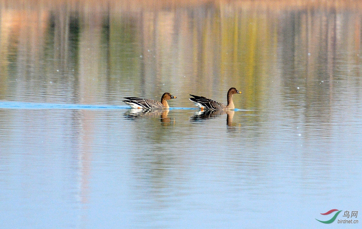DSC_5262.JPG