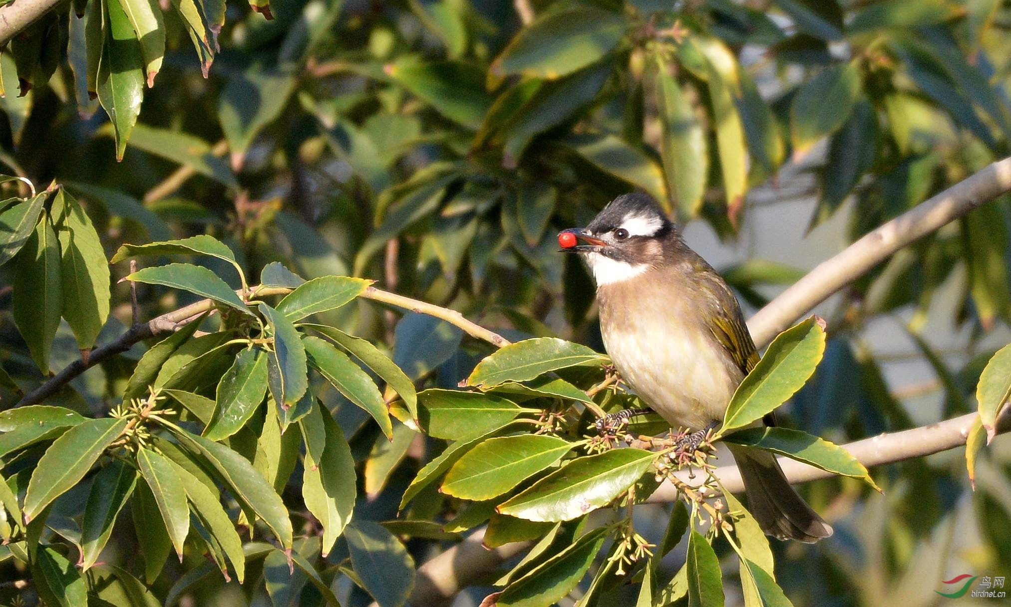 DSC_7730_����.jpg