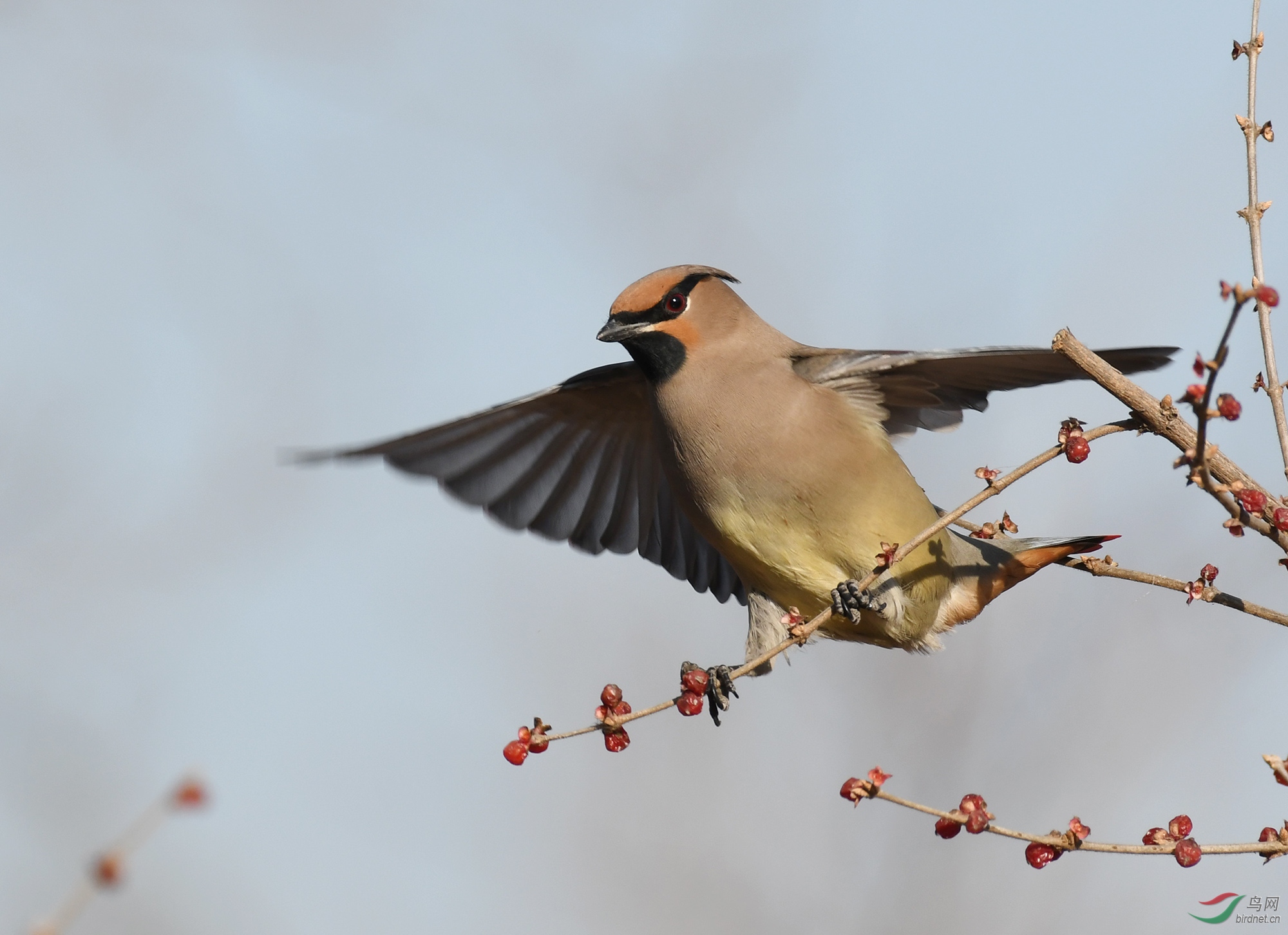 ������Ӱ 2092����.jpg