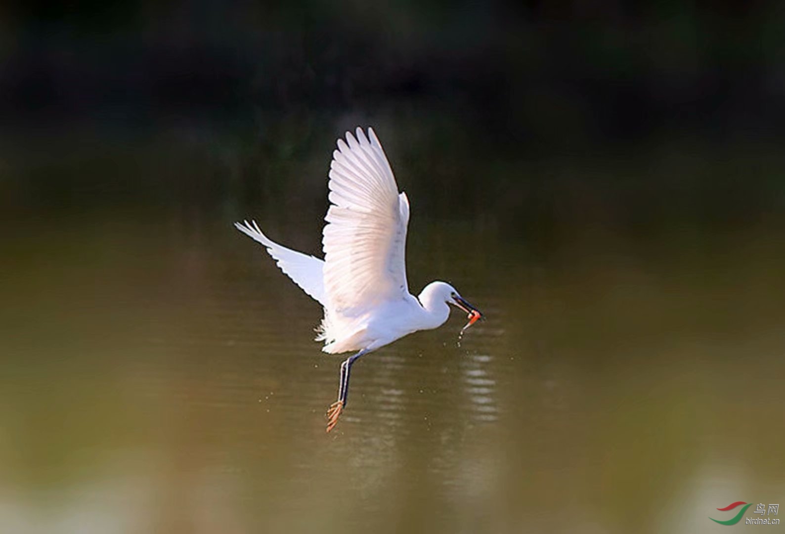 7800D0B9-2527-4F98-8258-D84484950E38.jpeg