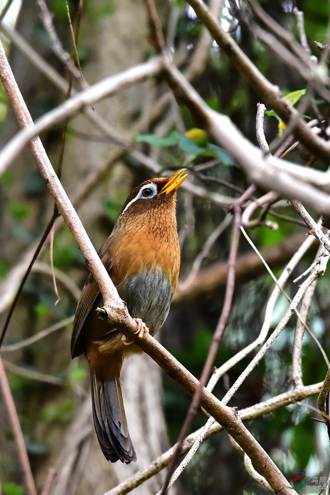 DSC_0780.JPG