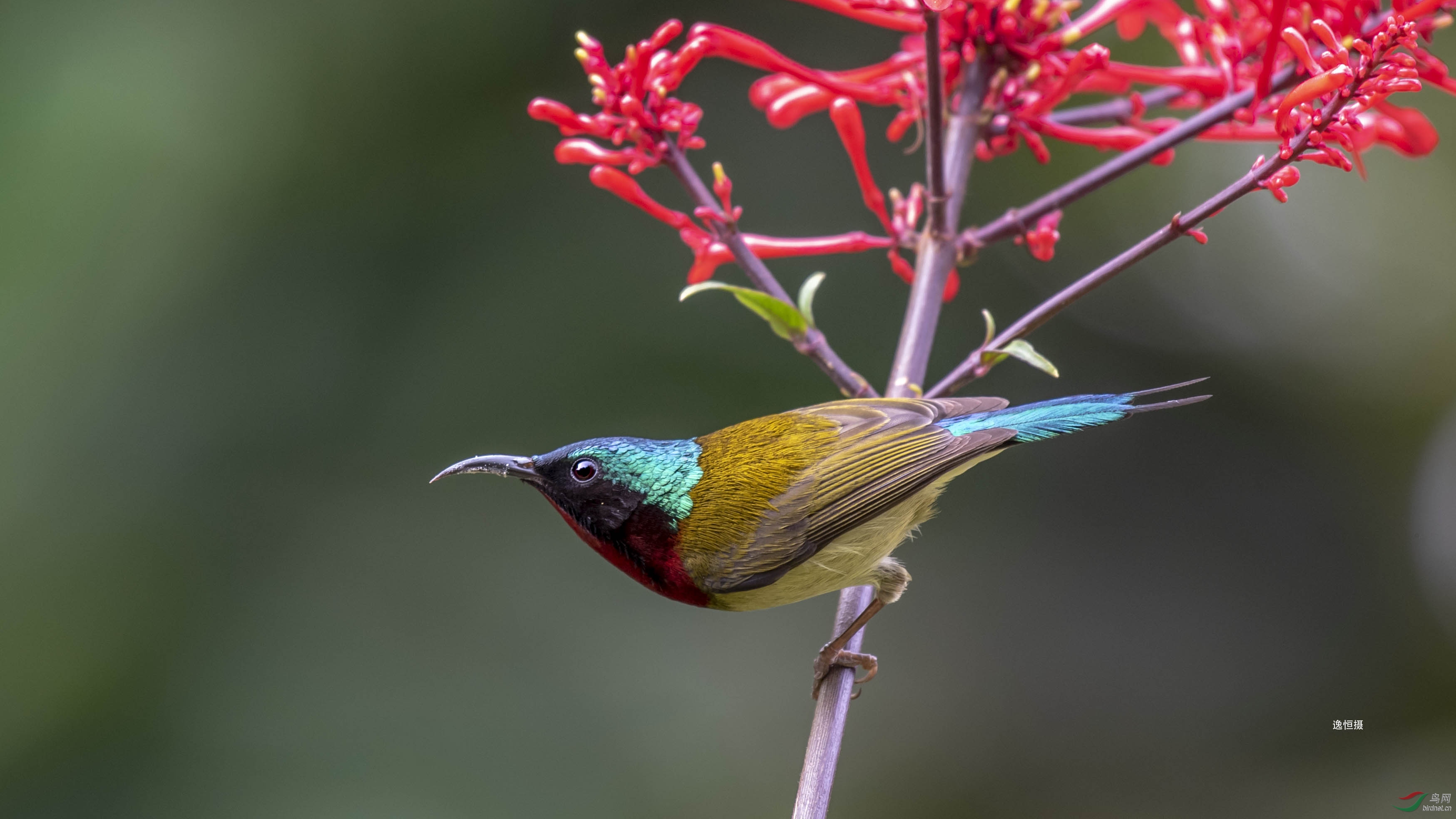 DSC_6100-1.jpg