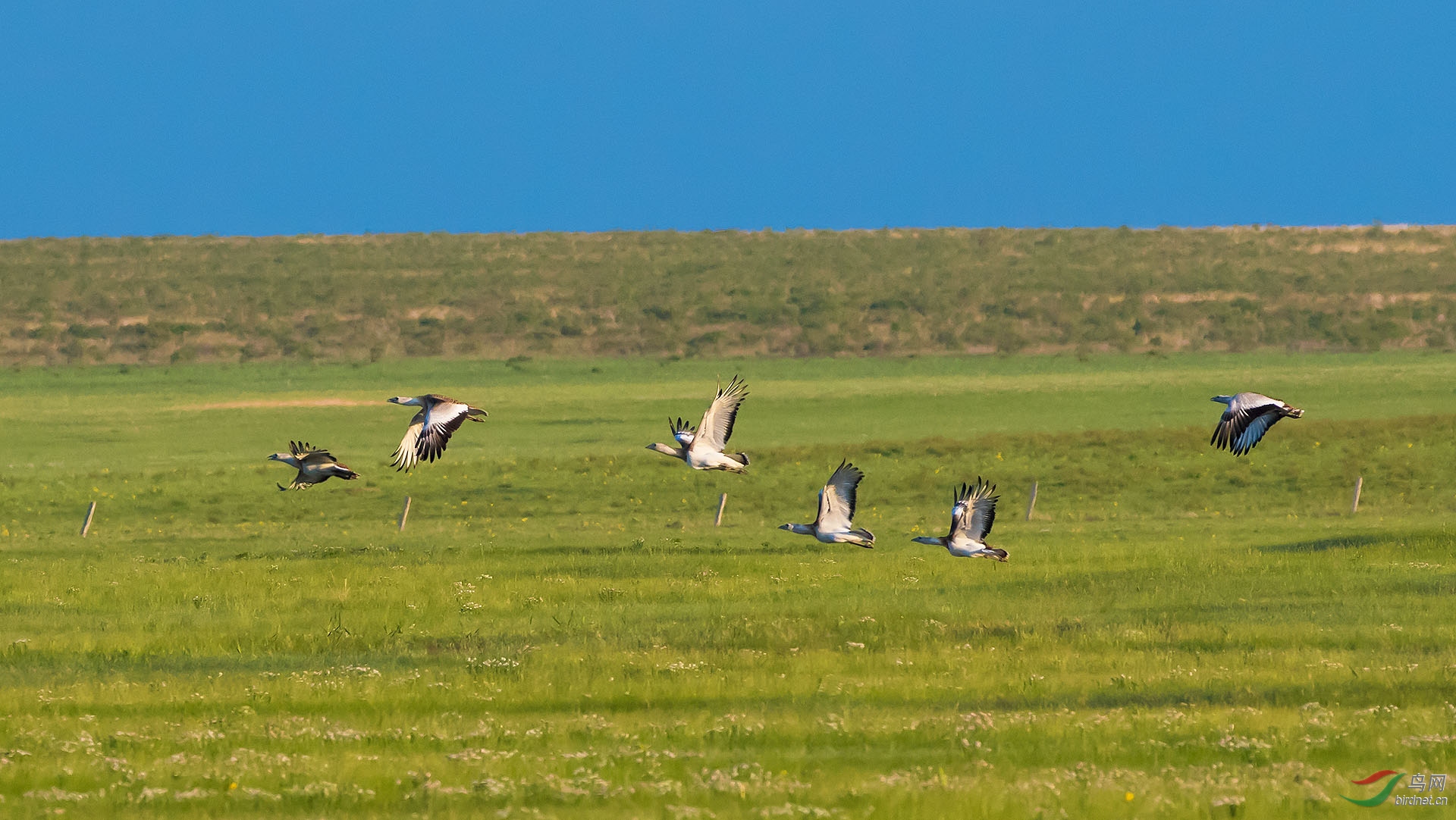 DSC_0101.jpg