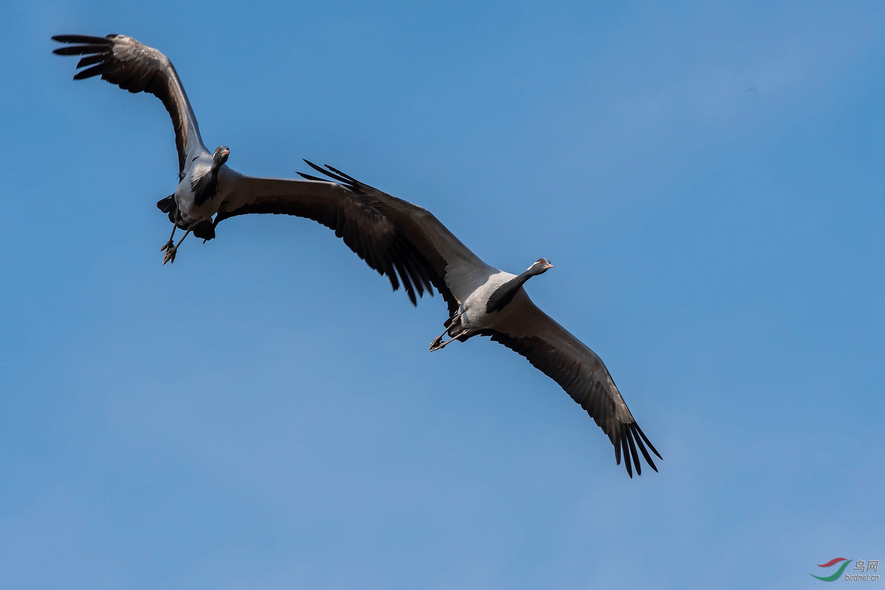 DSC_1462.jpg