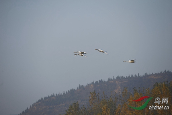 _E8J0258.jpg